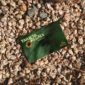 Free Business Card Laying on Stones Mockup