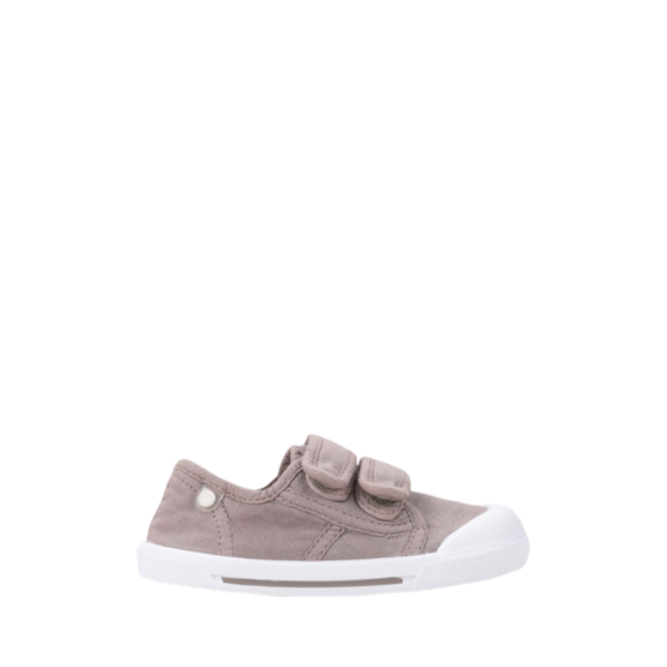 IGOR - Canvas topo