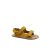 Ocre