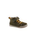 Bolonia kaki