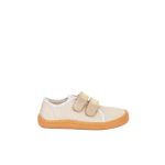 G1700379 gloden shine