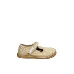 Gregal camel