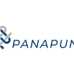 LOGOTIPO-PANAPUNT.png